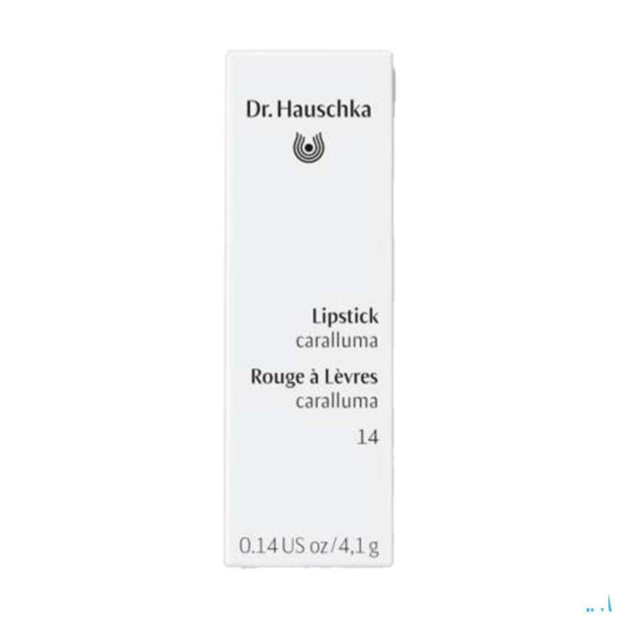 Dr.Hauschka Lipstick 14 caralluma 4,1 g   -  Wala Nederland