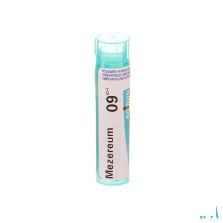 Mezereum 9CH Gr 4g  -  Boiron