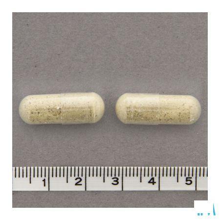 Linidol Capsule 30  -  Nutriphyt