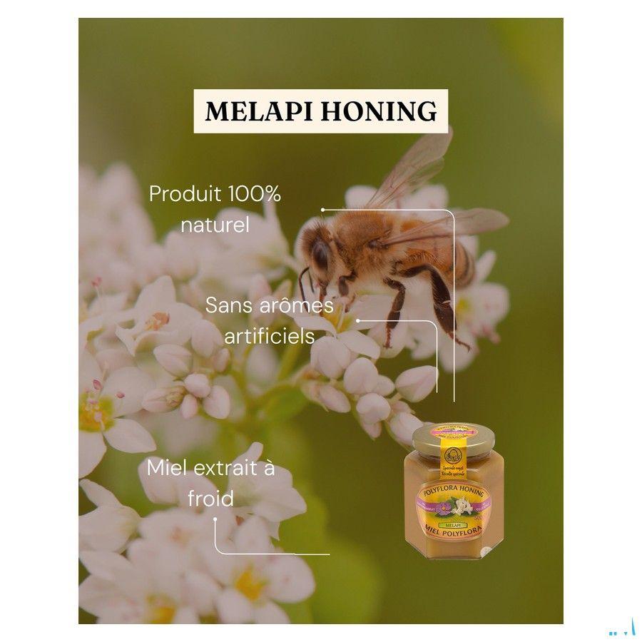 Melapi Polyflora + gelee Royale 500 gr 5534  -  Revogan