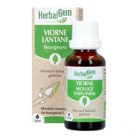 Herbalgem Viorne Bio 30 ml