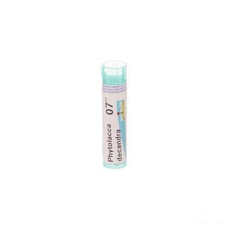 Phytolacca Decandra 7CH Gr 4g  -  Boiron