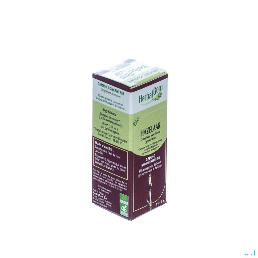 Herbalgem Hazelaar Maceraat 15 ml  -  Herbalgem