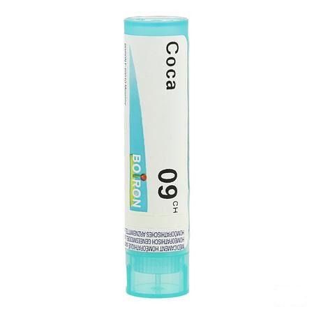 Coca 9CH Gr 4g  -  Boiron