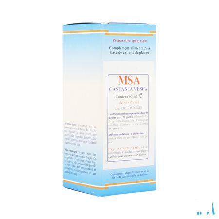 Castanea Vesca Msa Maceraat Druppels 50 ml  -  Herboplanet