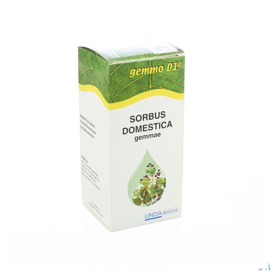 Sorbus Domest. Gemmo D1 125 ml  -  Boiron