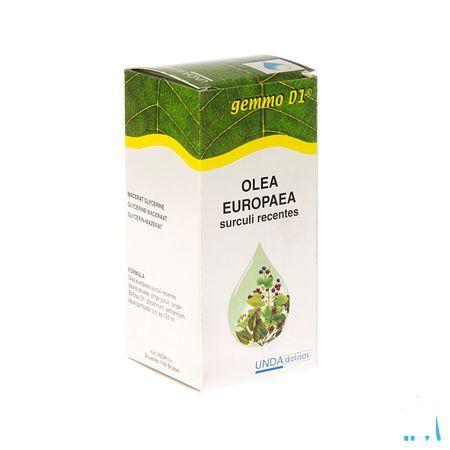 Olea Europaea Gemmo D1 125 ml  -  Boiron