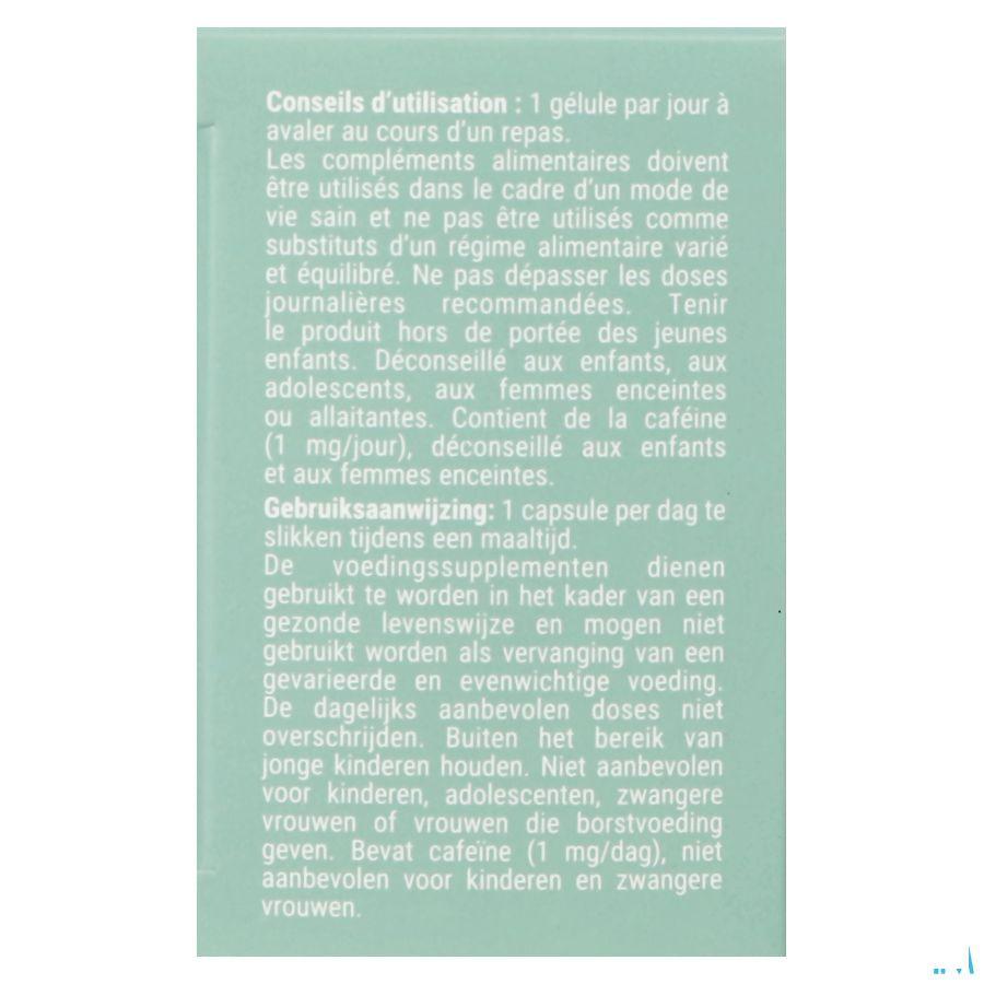 Vitrecor Caps 90  -  Densmore Laboratoire