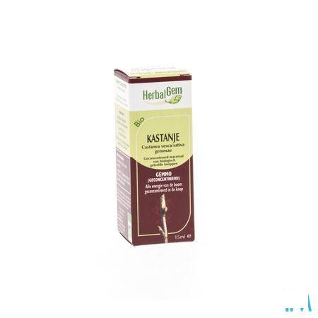 Herbalgem Kastanje Maceraat 15 ml  -  Herbalgem