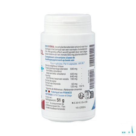 Ergysterol Pot Gel 100  -  Lab. Nutergia