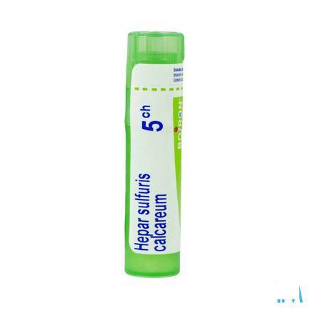 Hepar Sulfuris Calcareum 5CH Gr 4g  -  Boiron