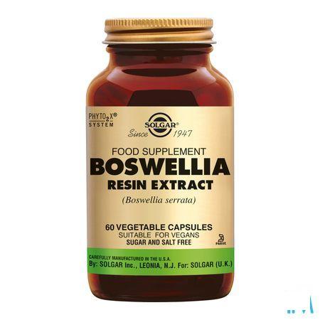 Solgar Boswellia Resin Extract V-Capsule 60  -  Solgar Vitamins