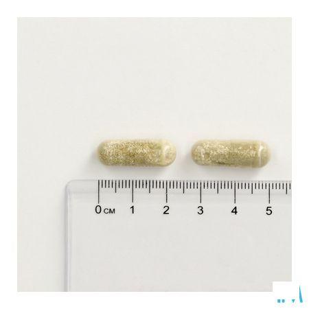 Promagnor Relaxation Capsule 60
