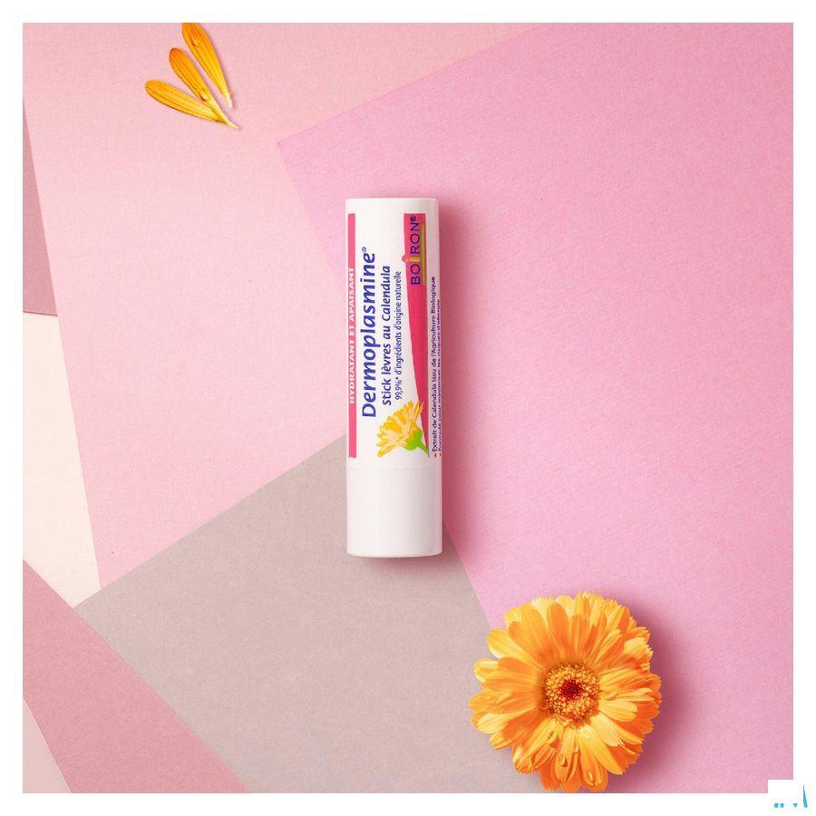 Dermoplasmine Calendula Lipstick 4 g