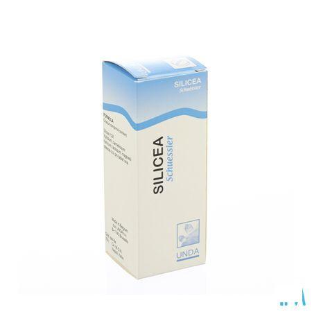 Schuessler N Xii Silicea 100  -  Boiron