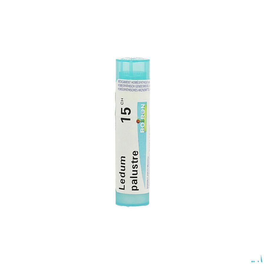 Ledum Palustre 15CH Gr 4g  -  Boiron