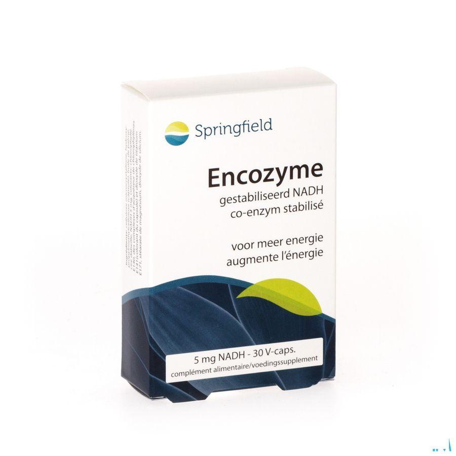Encozyme Nadh 5 mg Gestabilis. Springfield Capsule 30  -  Springfield Nutraceuticals
