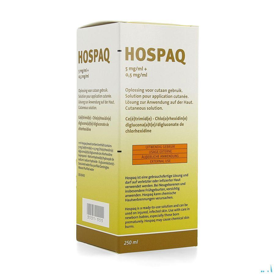 Hospaq 5Mg/ ml + 0,5Mg/ ml Sol Cutanee 1X250 ml  -  Qualiphar