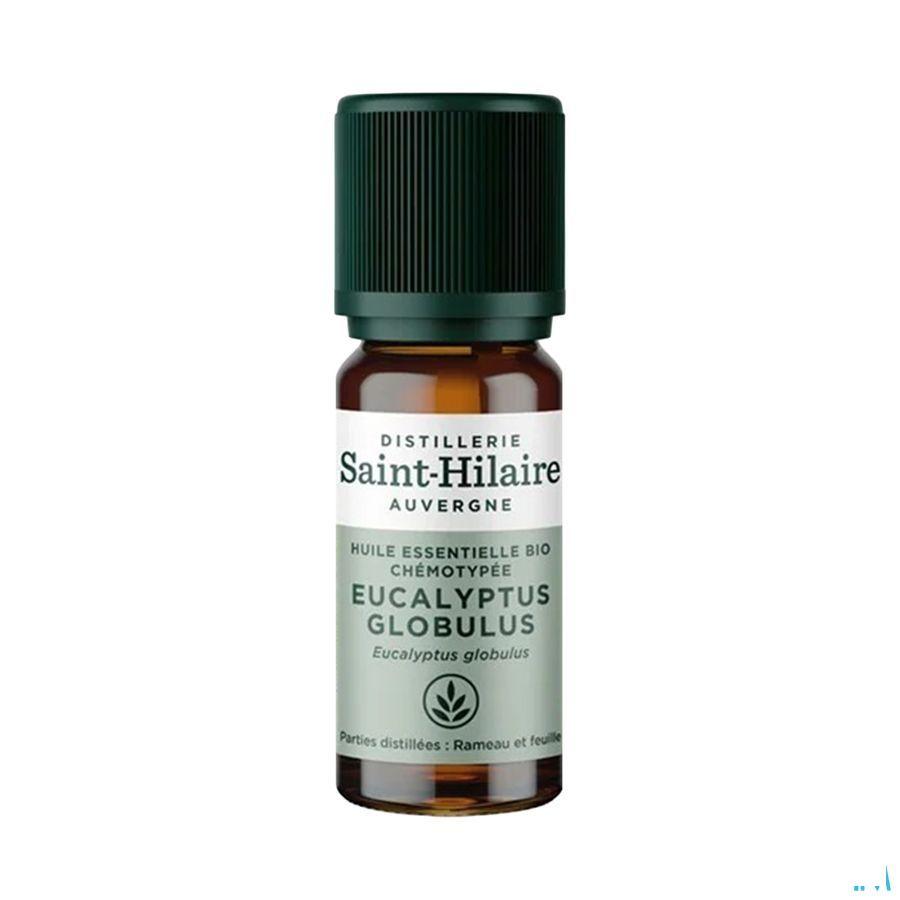Eucalyptus Globulus Bio Huile Essentielle 10 ml  -  Bioholistic Diffusion