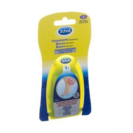 Scholl Blarenpleister Groot 5