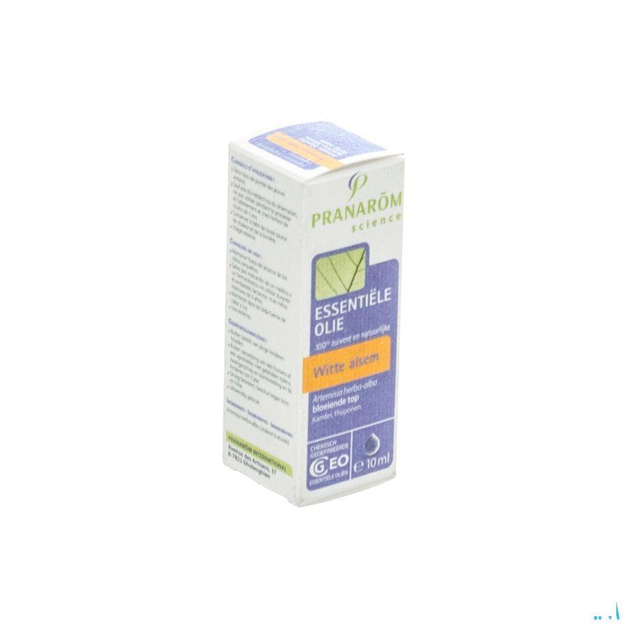 Armoise Blanche Huile Essentielle 10 ml  -  Pranarom