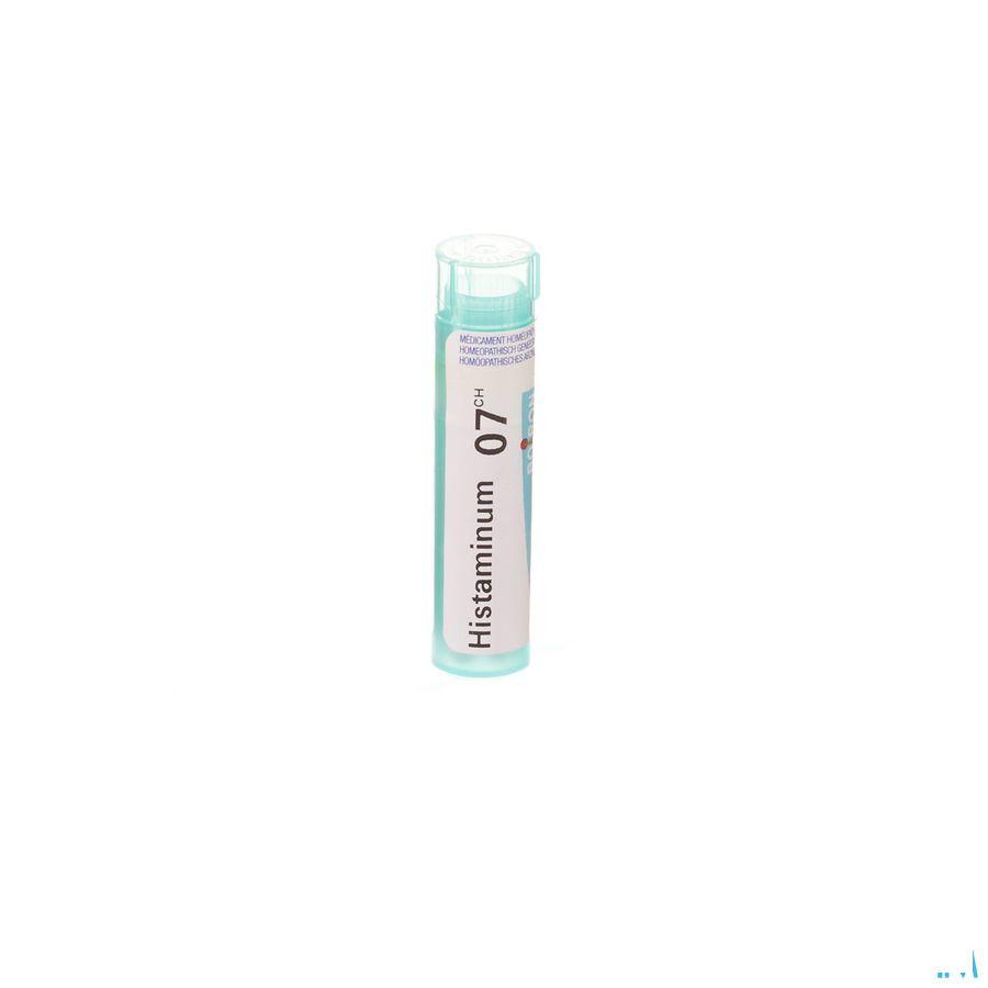 Histaminum 7CH Gr 4g  -  Boiron