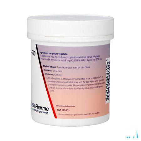 L-methionine + b6 Capsule 100x500 mg  -  Deba Pharma