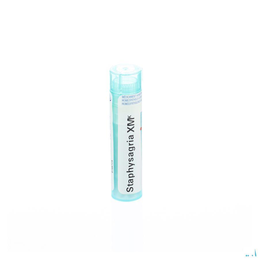 Staphysagria XMK Gr 4g  -  Boiron