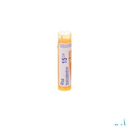 Rhus Toxicodendron 15CH Gr 4g  -  Boiron