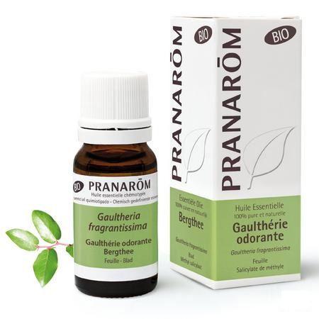 Gaultherie Odorante Bio Essentiele Olie 10 ml  -  Pranarom