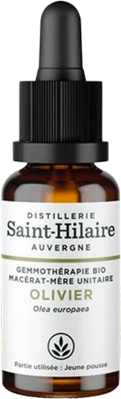 Olijfboom Glyc.mac 30 ml  -  Bioholistic Diffusion