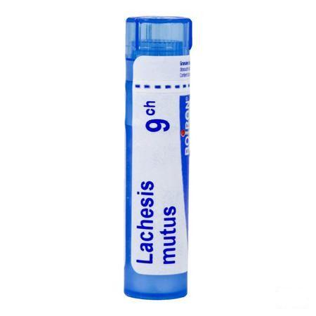 Lachesis Mutus 9CH Gl  -  Boiron