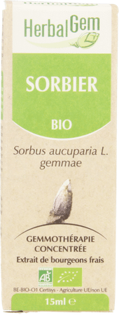 Herbalgem Lijsterbes Maceraat 15 ml  -  Herbalgem