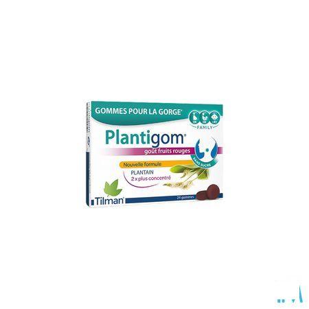 Plantigom Gommes 24 Nf