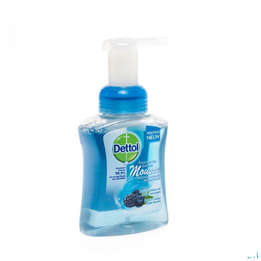 Dettol Healthy Touch Mss Gel Lav.baies Sauv. 250 ml