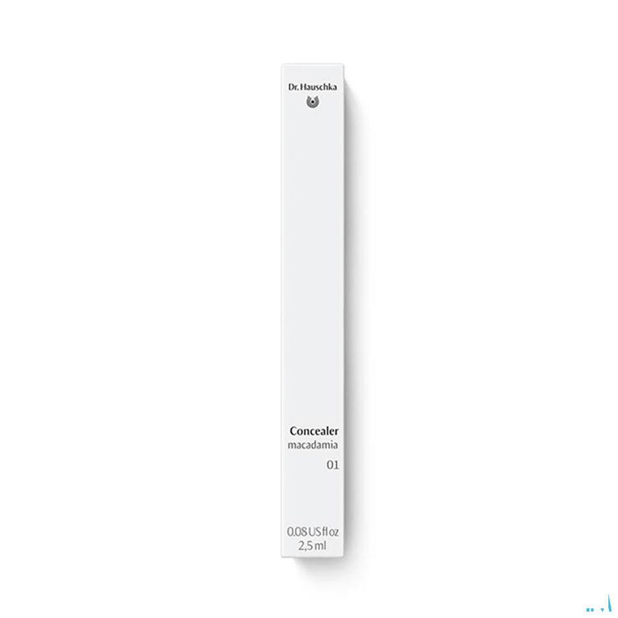 Dr.Hauschka Concealer 01 macadamia 2,5 ml   -  Wala Nederland