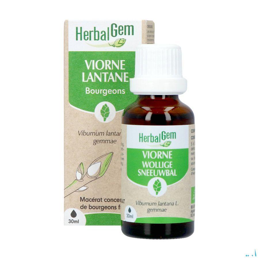 Herbalgem Viorne Bio 30 ml