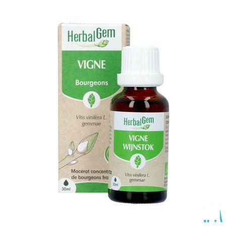 Herbalgem Vigne Bio 30 ml