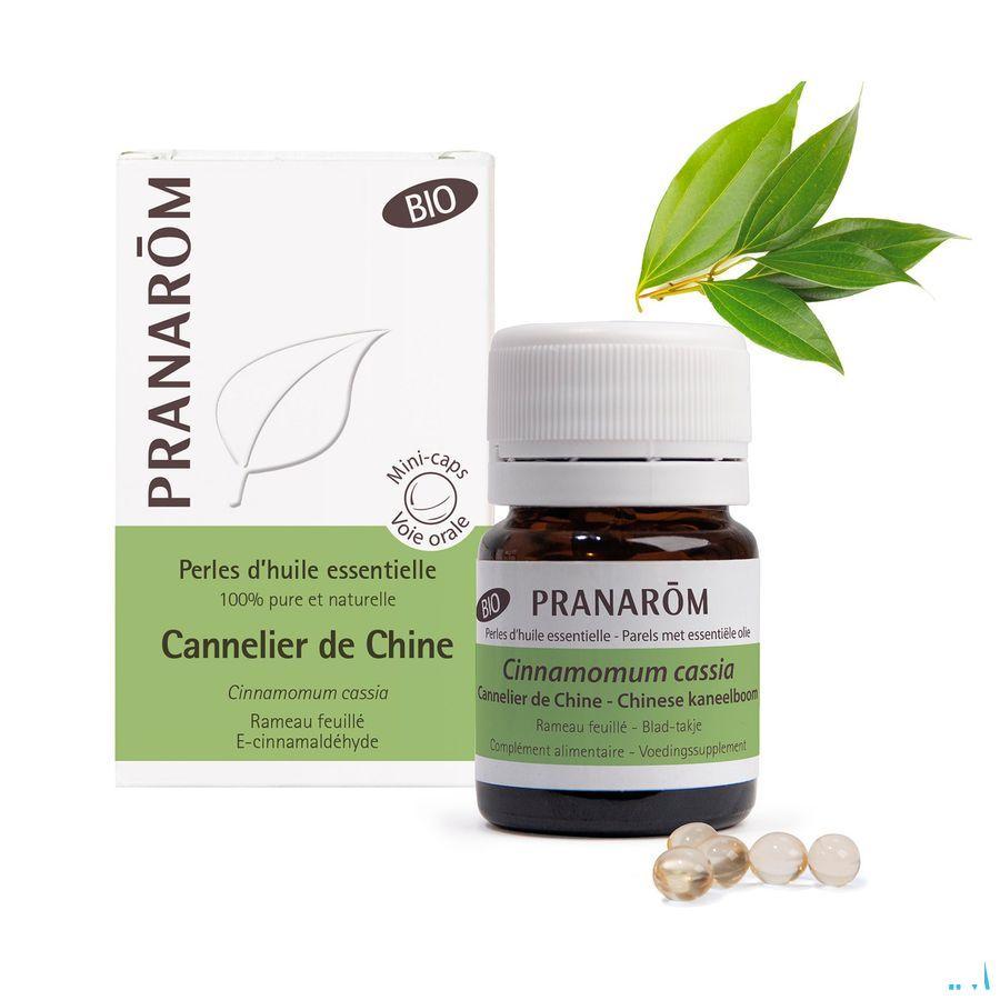 Aromaperles Cannelle Chine Bio Flacon Capsule 60  -  Pranarom