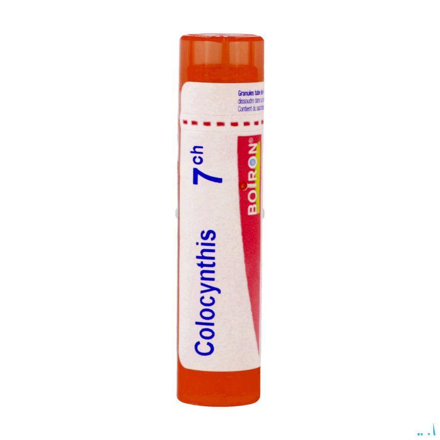 Colocynthis 7CH Gr 4g  -  Boiron