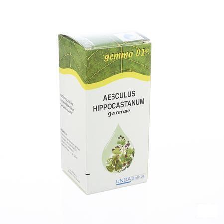 Aesculus Hippoc.gemmo D1 125 ml  -  Boiron