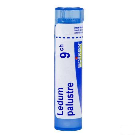 Ledum Palustre 9CH Gr 4g  -  Boiron