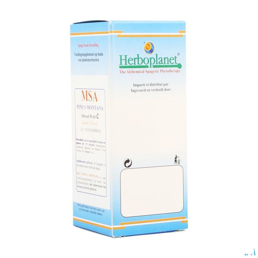 Pinus Montana Msa Macerat Gouttes 50 ml  -  Herboplanet