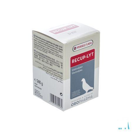 Recup-lyt Poeder Zakje 12x20 gr