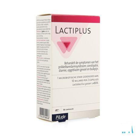 Lactiplus Capsule 56  -  Pileje