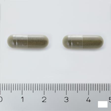 Arkocaps Ginkgo Biloba Plantaardig Duo 2X45  -  Arkopharma 