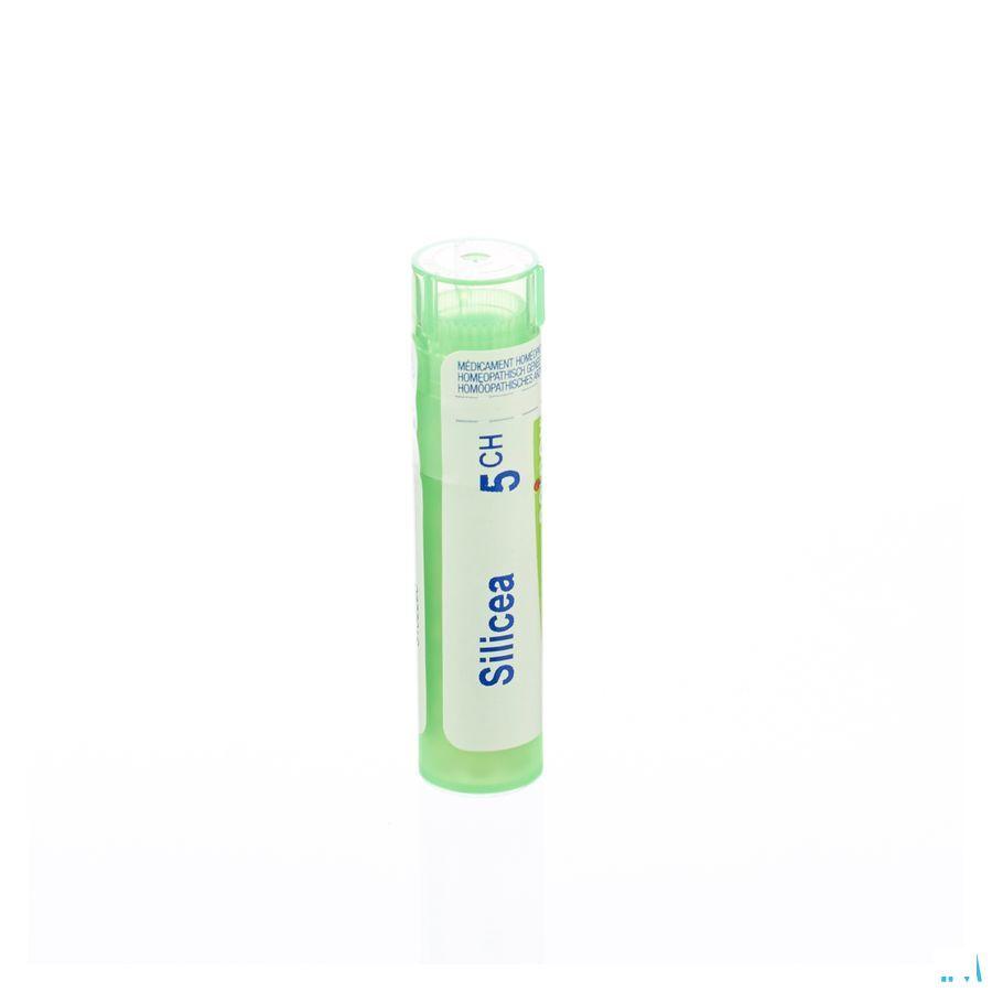 Silicea 5CH Gr 4g  -  Boiron