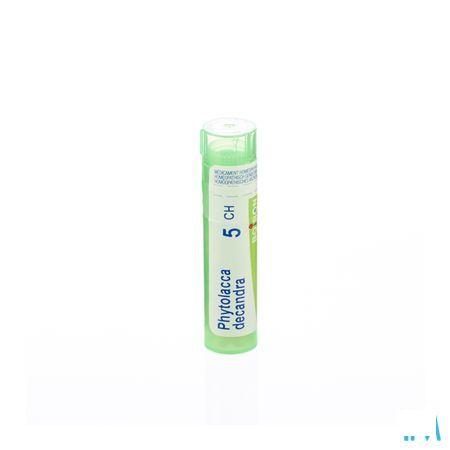 Phytolacca Decandra 5CH Gr 4g  -  Boiron