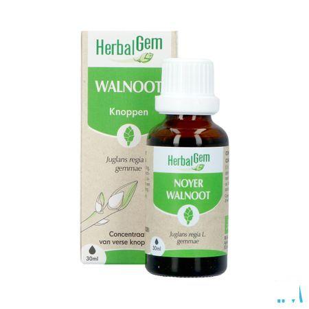 Herbalgem Walnoot Bio 30 ml