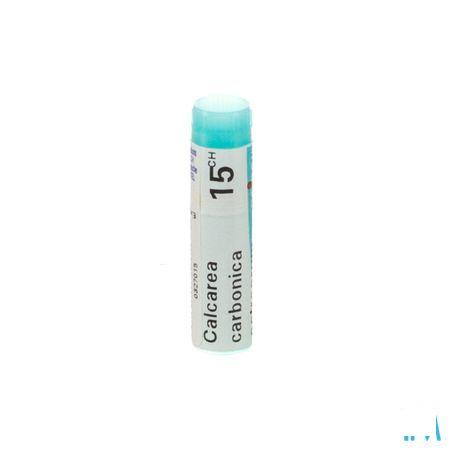 Calcarea Carbonica Ostrearum 15CH Gl  -  Boiron